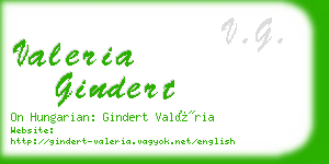 valeria gindert business card